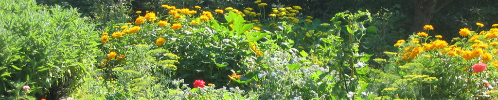 Klostergarten Klostergarten